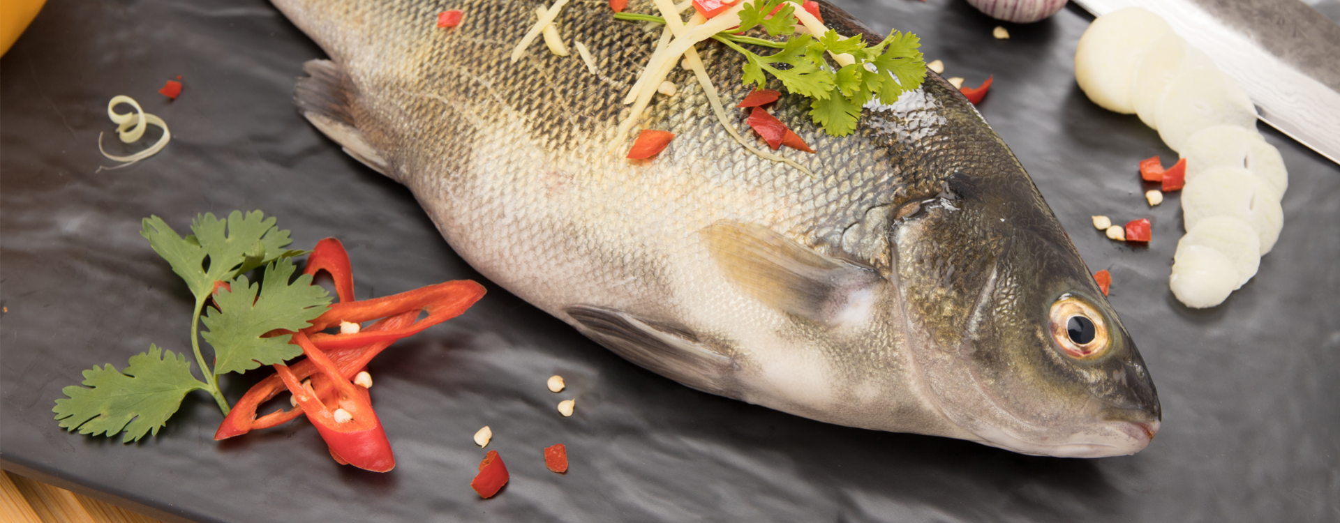 Silver Perch