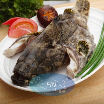 Hybrid Grouper (龙虎斑）